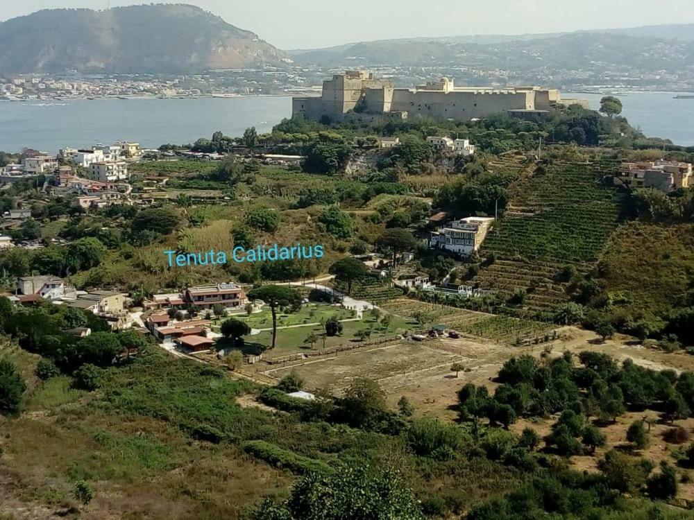 Tenuta Calidarius Baia  Luaran gambar