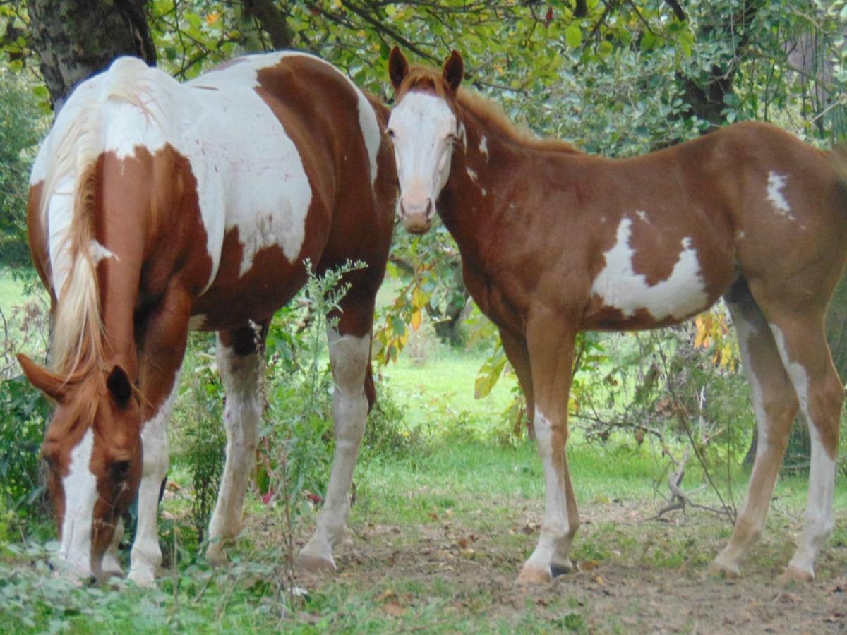 Tenuta Calidarius Baia  Luaran gambar